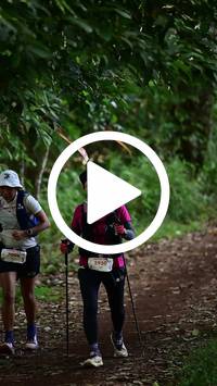 BIB:  <button type="button" onclick="openModal(27520476)" class="btn btn-primary btn-sm float-right" data-toggle="modal" data-target=".modal-high-quality">
                <i class="fa fa-download"></i> Download
                </button>